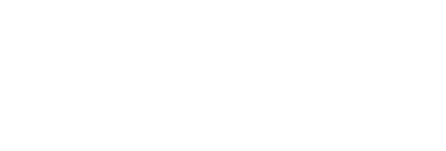 Main Sponsor